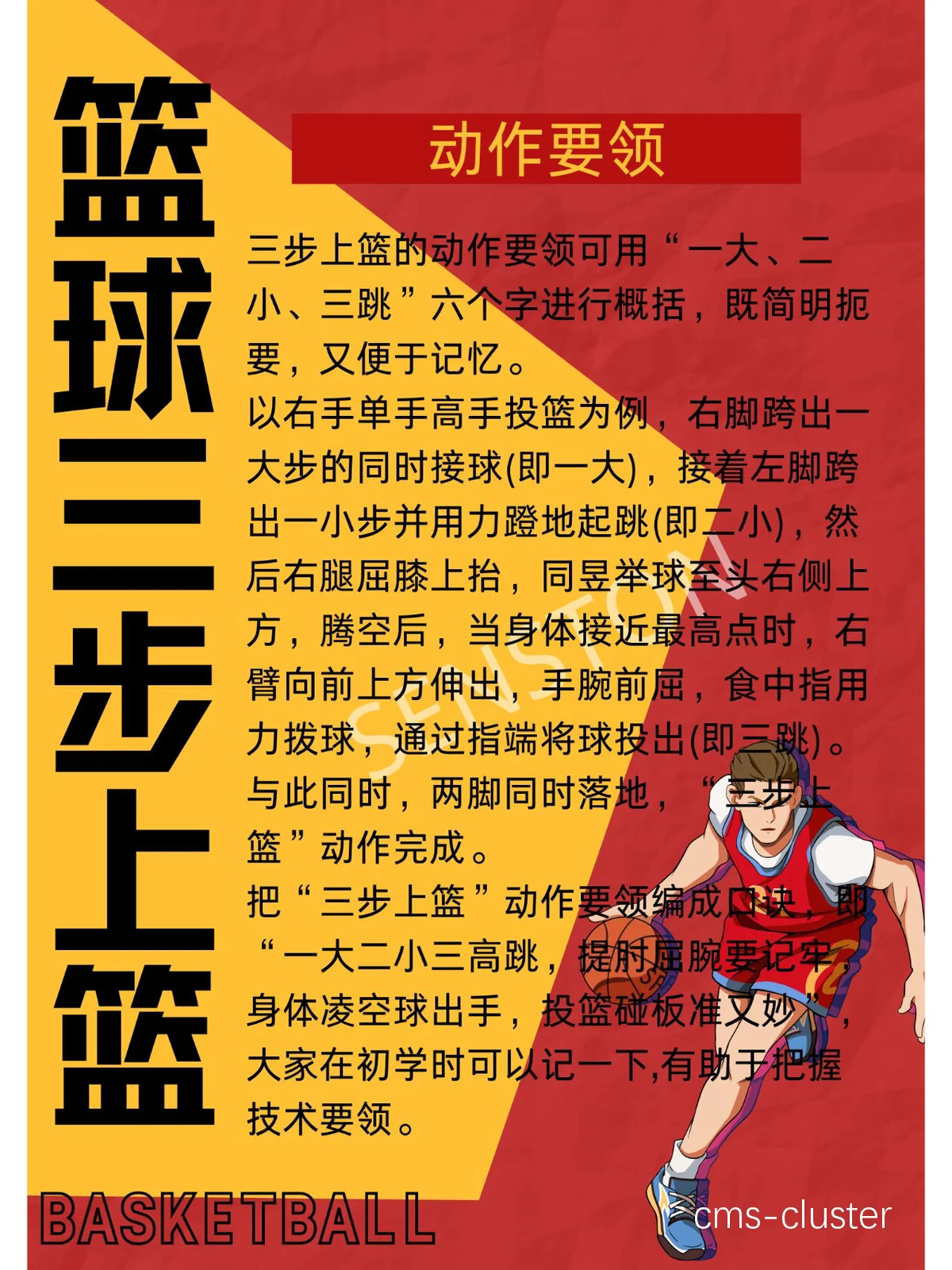 体育小学生篮球训练视频教程
